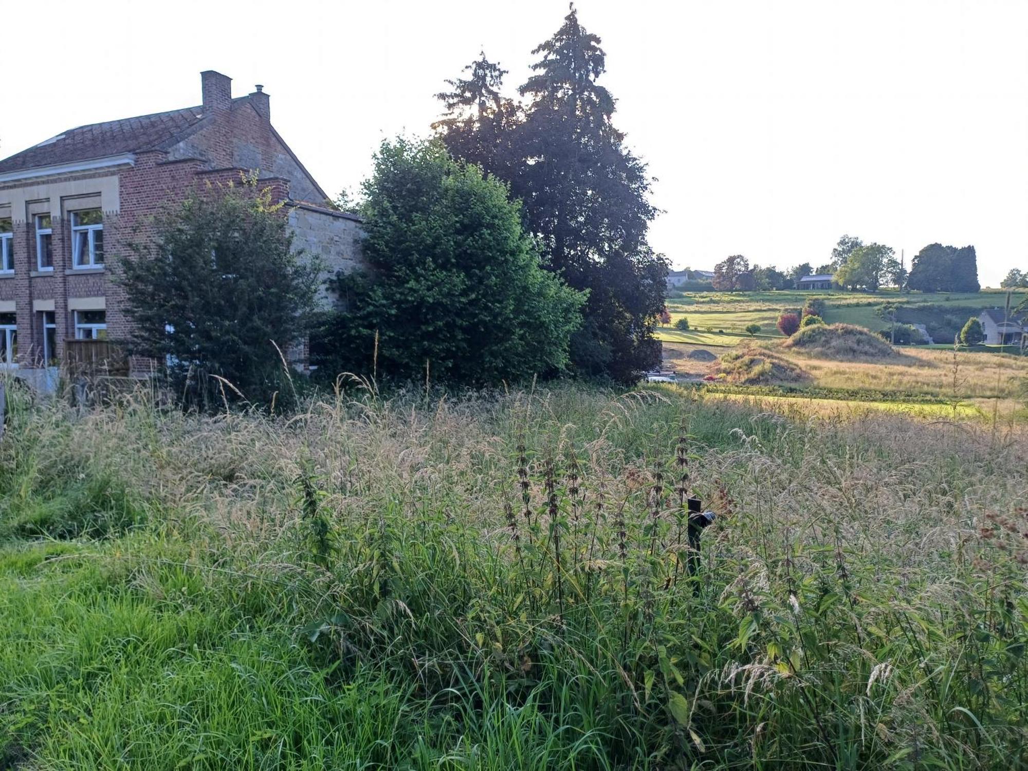 Hébergement de vacances L'ecrin Nature Durbuy