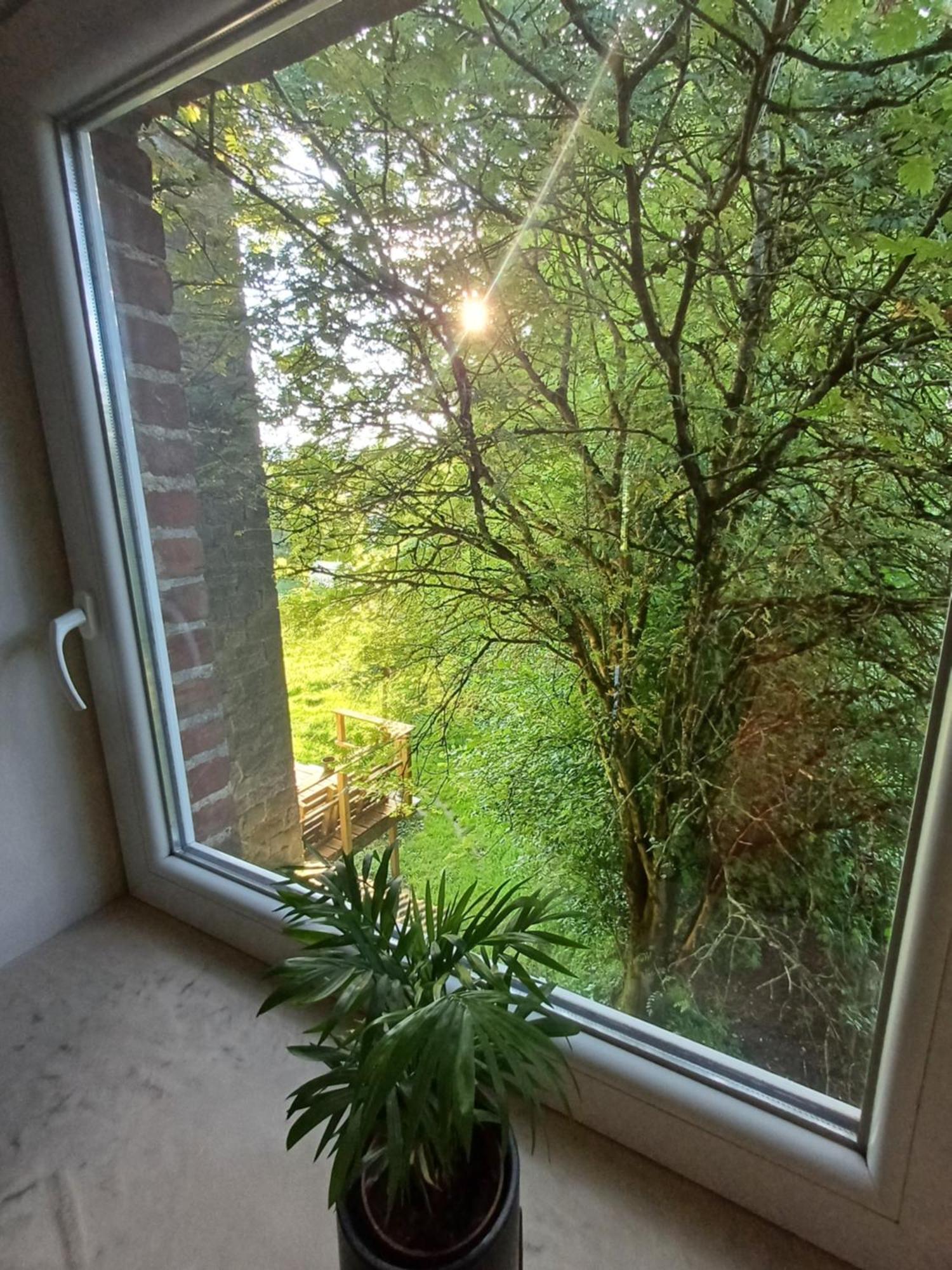 L'ecrin Nature Holiday home Durbuy